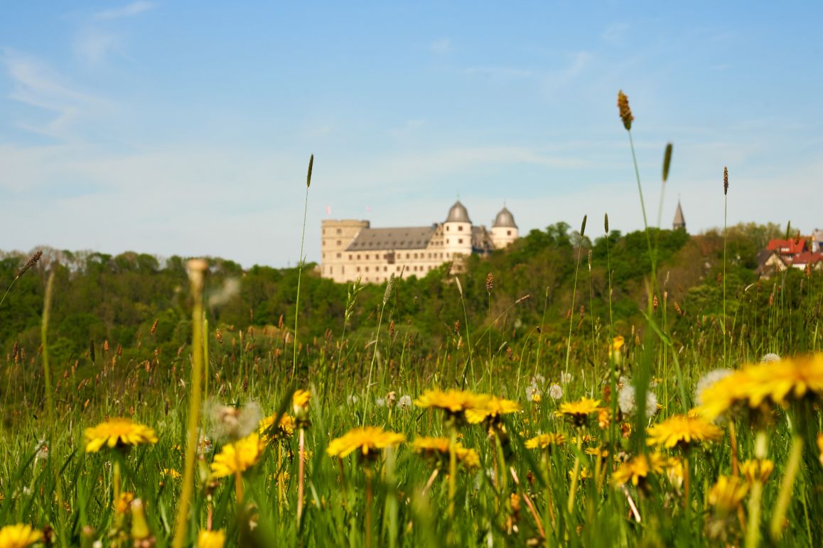 Wewelsburg im Frühling 2020_Lina Loos